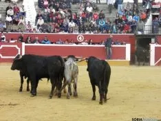 Desencajonamiento 2015