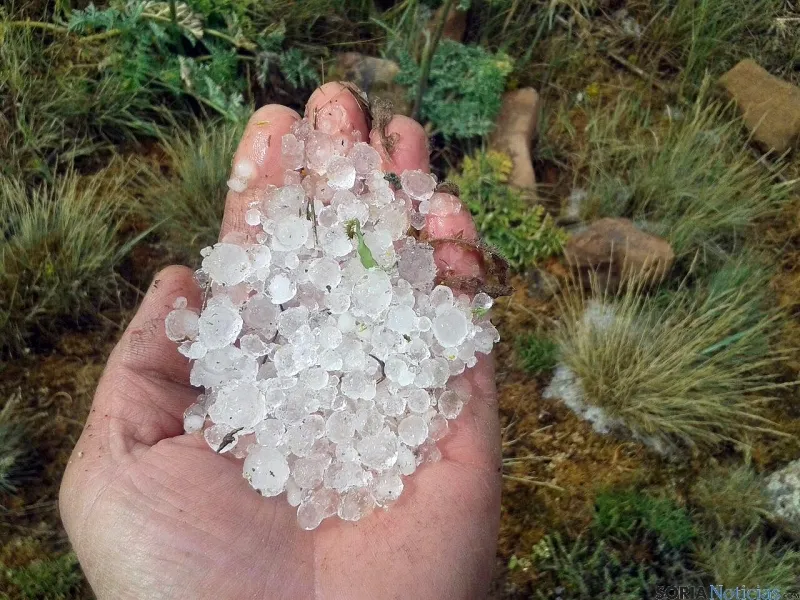 Las granizadas han ocasionado graves daños.