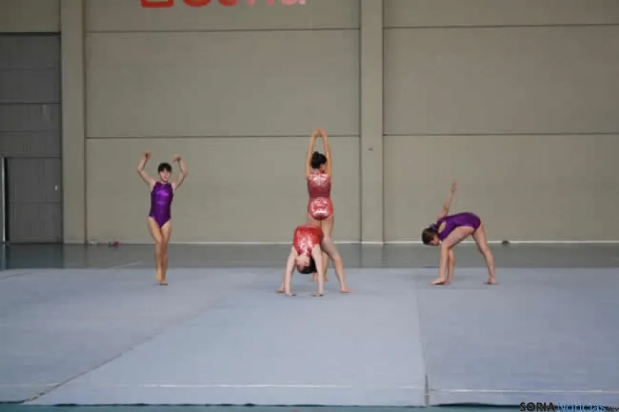 Las gimnastas en la exhibición