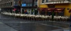 Las reses por el centro de la ciudad. / SN
