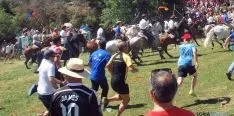 Imagen de la Saca 2015. / SN