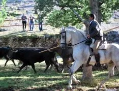 La mañana, espléndida en Valonsadero. / SN