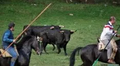La mañana, espléndida en Valonsadero. / SN
