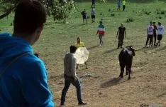 Imagen de la comrpa 2015. / SN