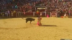 Foto 9 - Marcos P&eacute;rez es el triunfador de la novillada del Viernes de Toros de la tarde
