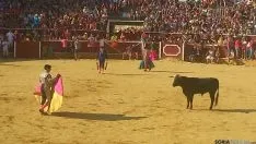 Foto 20 - Marcos P&eacute;rez es el triunfador de la novillada del Viernes de Toros de la tarde