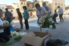 Los quintos del 65 preparan el tapiz floral para el Corpus Christi. / SN 
