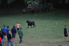 Imagen de la comrpa 2015. / SN