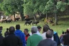 La mañana, espléndida en Valonsadero. / SN