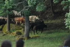 La mañana, espléndida en Valonsadero. / SN