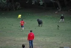 Imagen de la comrpa 2015. / SN