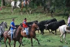 La mañana, espléndida en Valonsadero. / SN