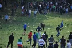 Imagen de la comrpa 2015. / SN