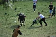 Imagen de la comrpa 2015. / SN