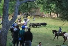 La mañana, espléndida en Valonsadero. / SN