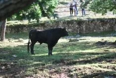 La mañana, espléndida en Valonsadero. / SN