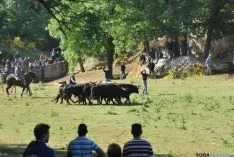 La mañana, espléndida en Valonsadero. / SN