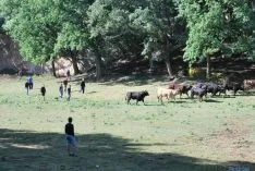 La mañana, espléndida en Valonsadero. / SN