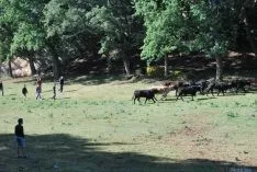 La mañana, espléndida en Valonsadero. / SN