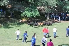 La mañana, espléndida en Valonsadero. / SN