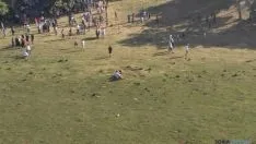 Novillos en el Lavalenguas