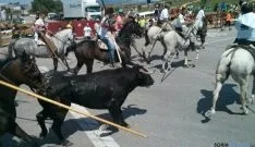La Saca 2015 Llegada.