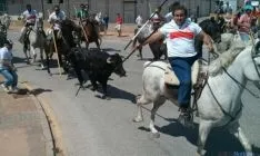 La Saca 2015 Llegada.