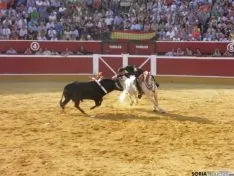 Rejones este Miércoles el Pregón