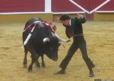 Rejones este Miércoles el Pregón