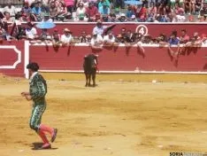 Novillada de la mañana