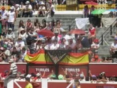 Novillada de la mañana