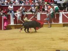 Novillada de la mañana