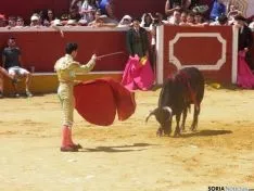 Viernes de Toros por la mañana