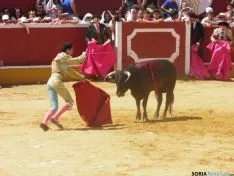Viernes de Toros por la mañana