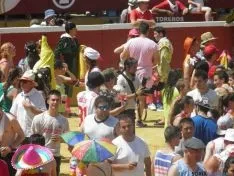 Viernes de Toros por la mañana