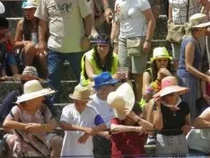 Viernes de Toros por la mañana