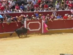 Viernes de Toros por la mañana