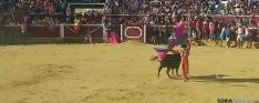Foto 19 - Marcos P&eacute;rez es el triunfador de la novillada del Viernes de Toros de la tarde