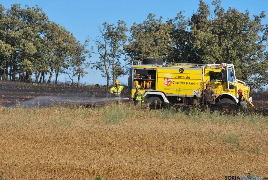 El fuego afectaba a una finca de cereal. / SN