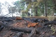Los rescoldos del fuego. / SN