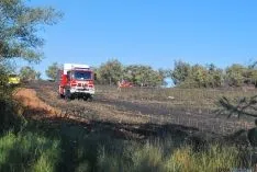 El fuego afectaba a una finca de cereal. / SN