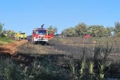 El fuego afectaba a una finca de cereal. / SN