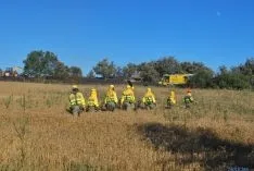 El fuego afectaba a una finca de cereal. / SN