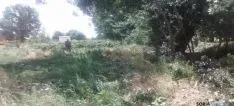 Tornado de Fuentelmonge