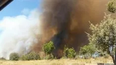 Incendio en Barcebalejo