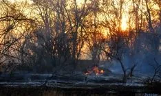 Labores de extinción del fuego. / SN