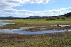 Daños tormenta 21 A