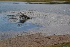 Daños tormenta 21A