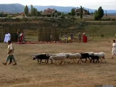 Numantinos y romanos en Garray. SN