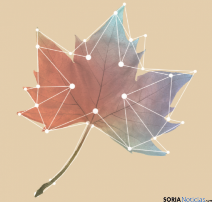 Cartel de esta edición